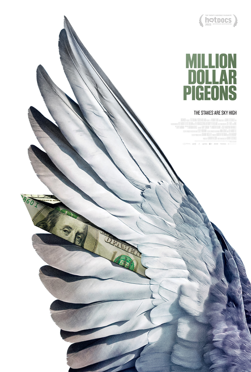 Extra Large Movie Poster Image for Million Dollar Pigeons (#2 of 2)