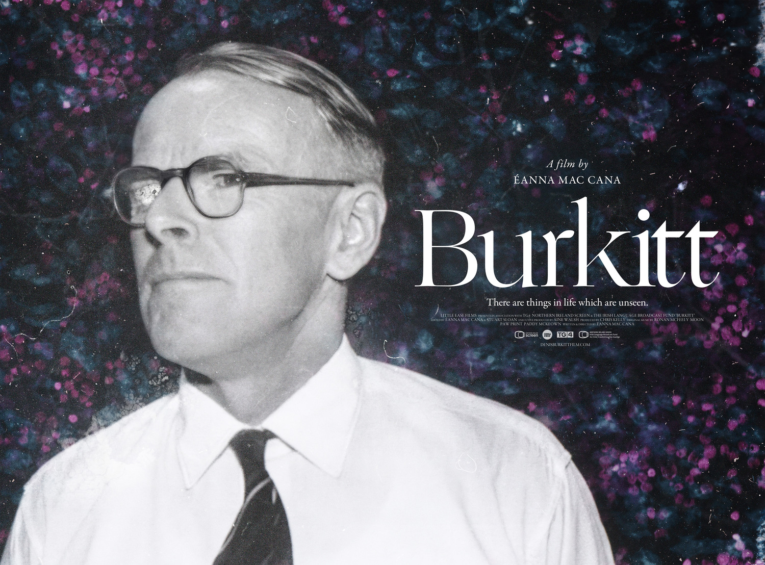 Extra Large Movie Poster Image for BUrkitt 