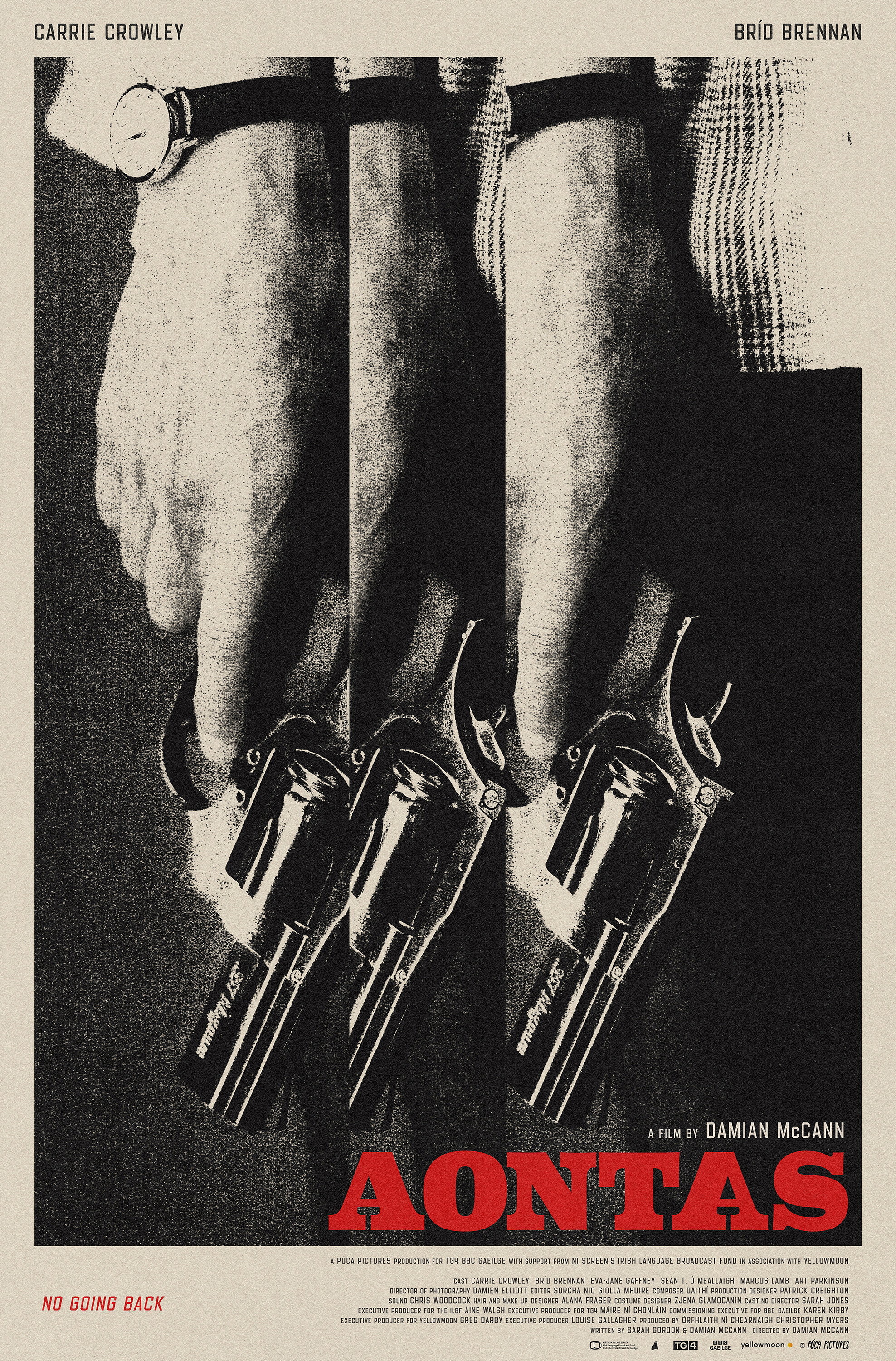 Mega Sized Movie Poster Image for Aontas 