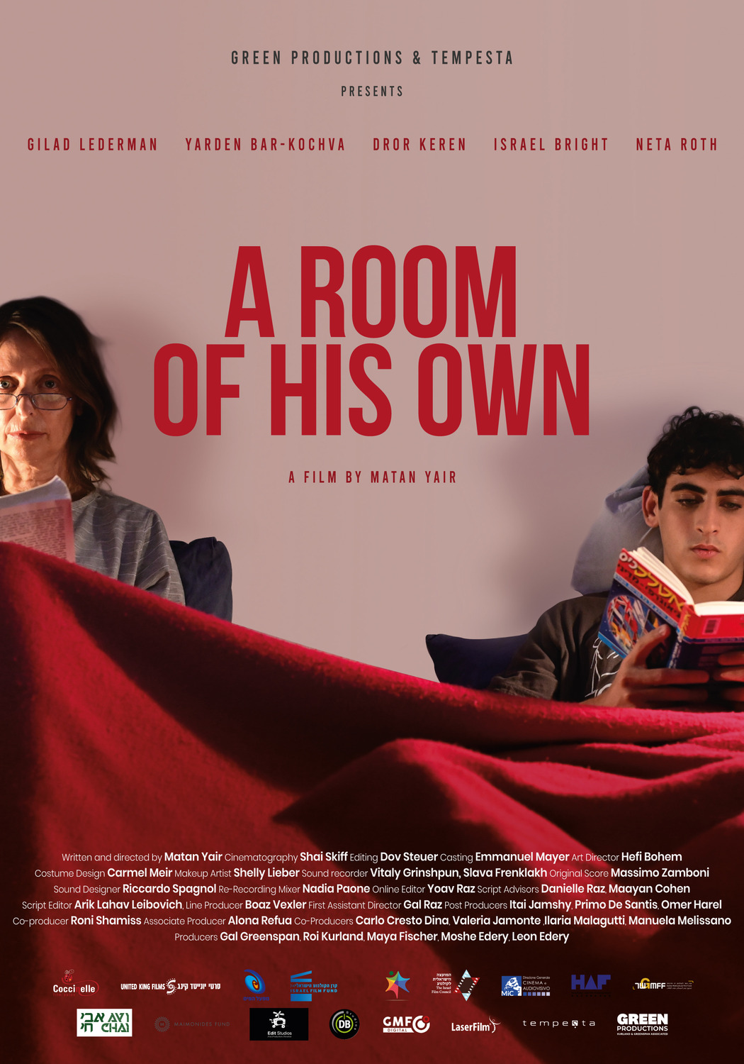 Extra Large Movie Poster Image for A Room of His Own 