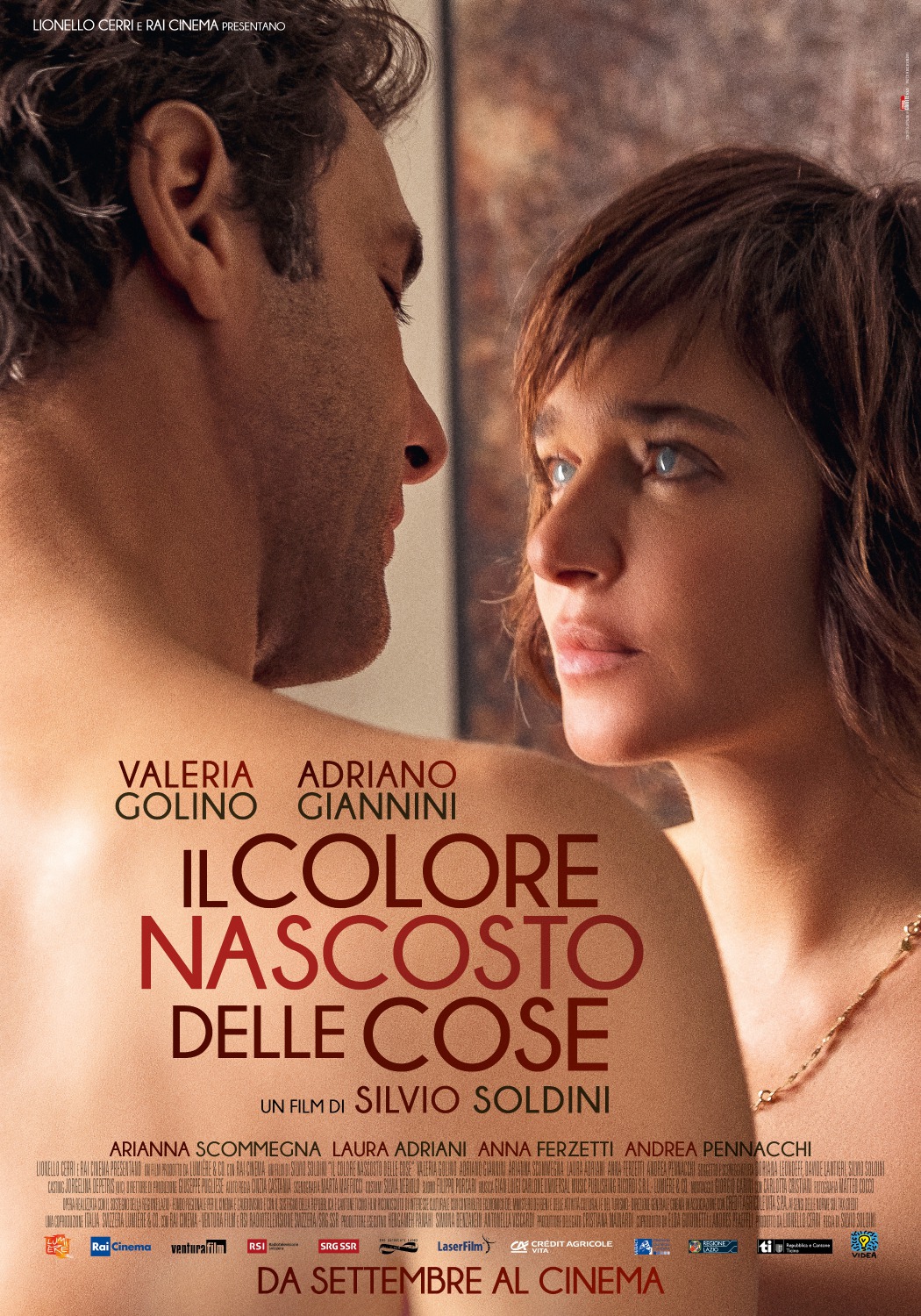 Extra Large Movie Poster Image for Il colore nascosto delle cose 