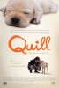 Quill: The Life of a Guide Dog (2004) Thumbnail
