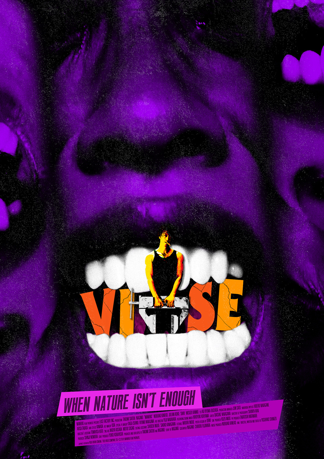Extra Large Movie Poster Image for Vise 