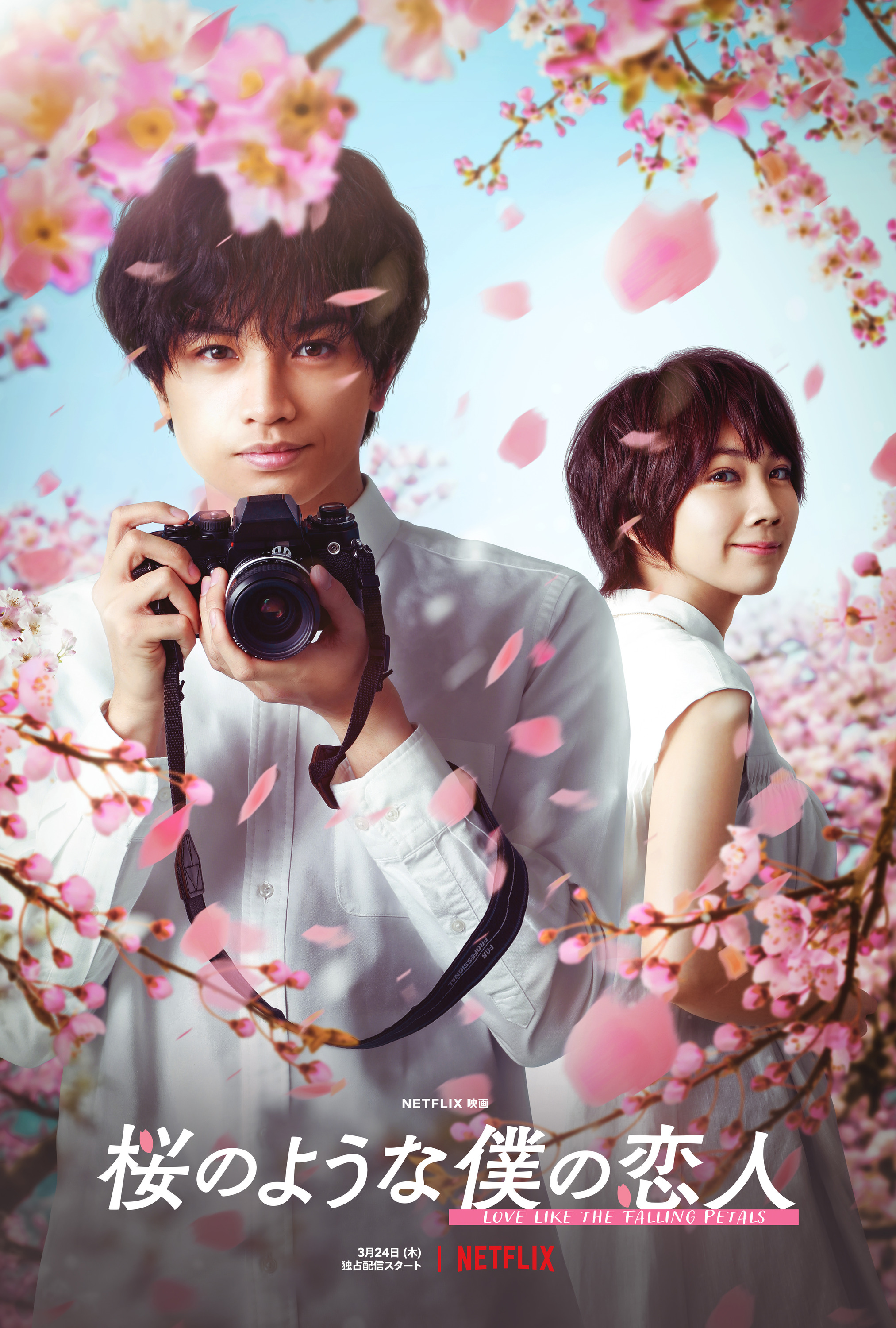 Mega Sized Movie Poster Image for Love Like the Falling Petals (#2 of 4)