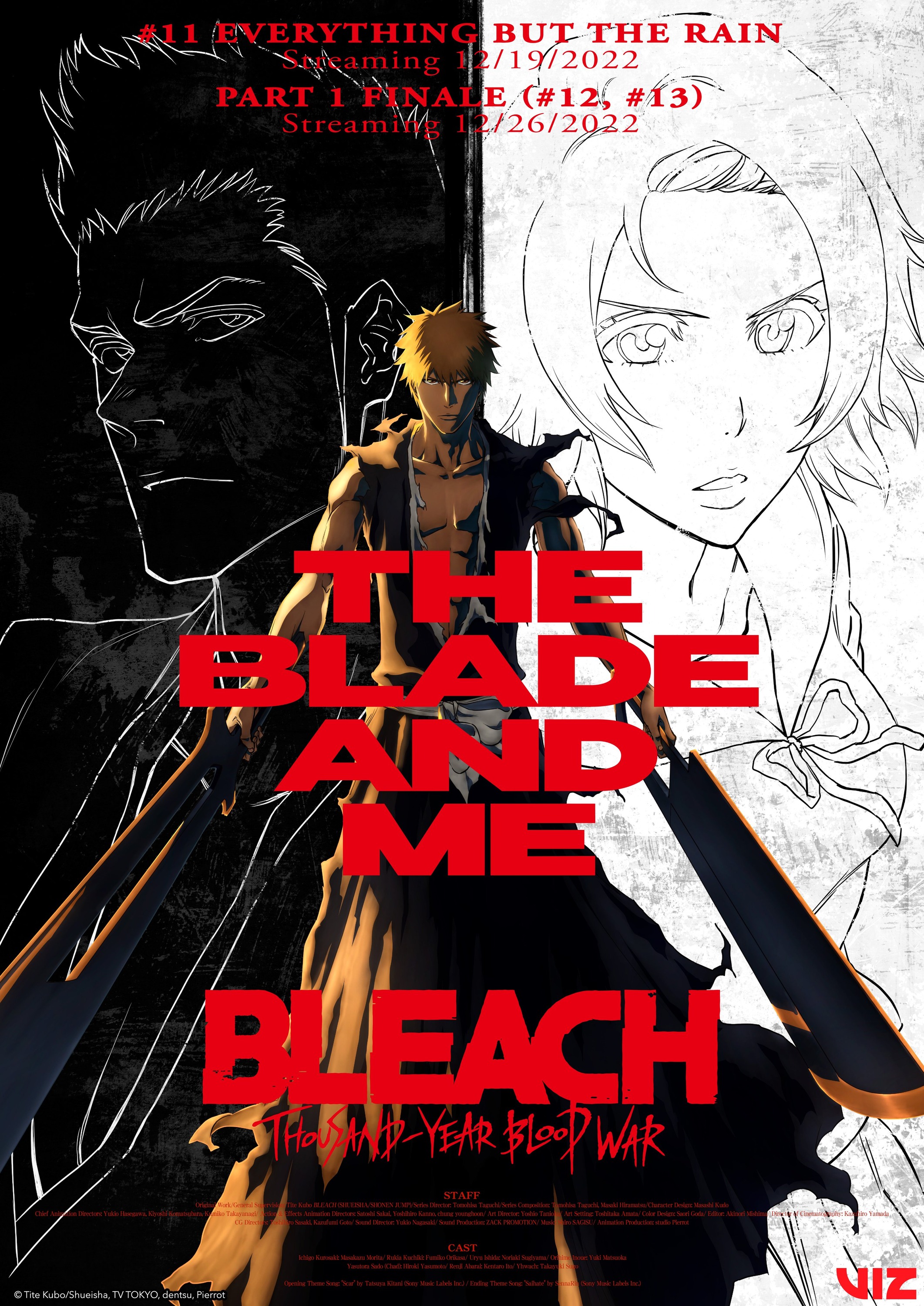 Mega Sized TV Poster Image for Bleach: Thousand Year Blood War (#3 of 7)