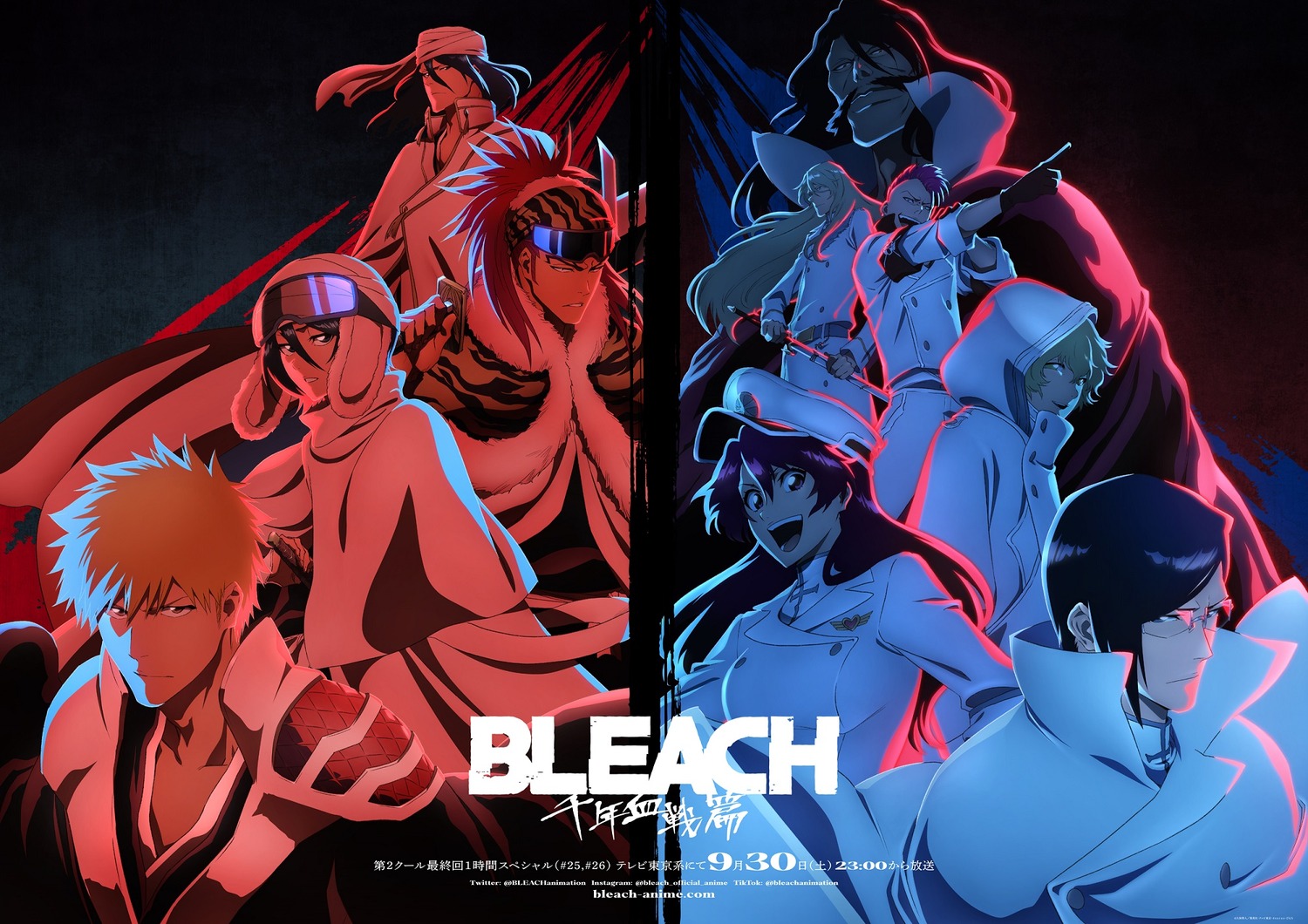 Extra Large TV Poster Image for Bleach: Thousand Year Blood War (#7 of 7)