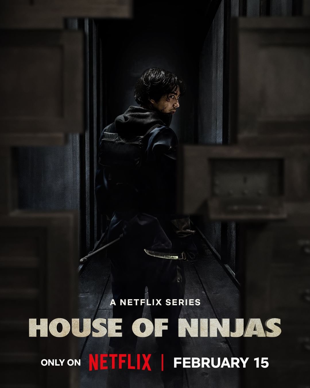 Extra Large TV Poster Image for House of Ninjas 