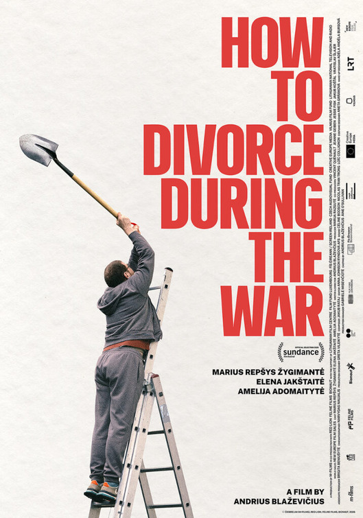 How to Divorce During the War Movie Poster