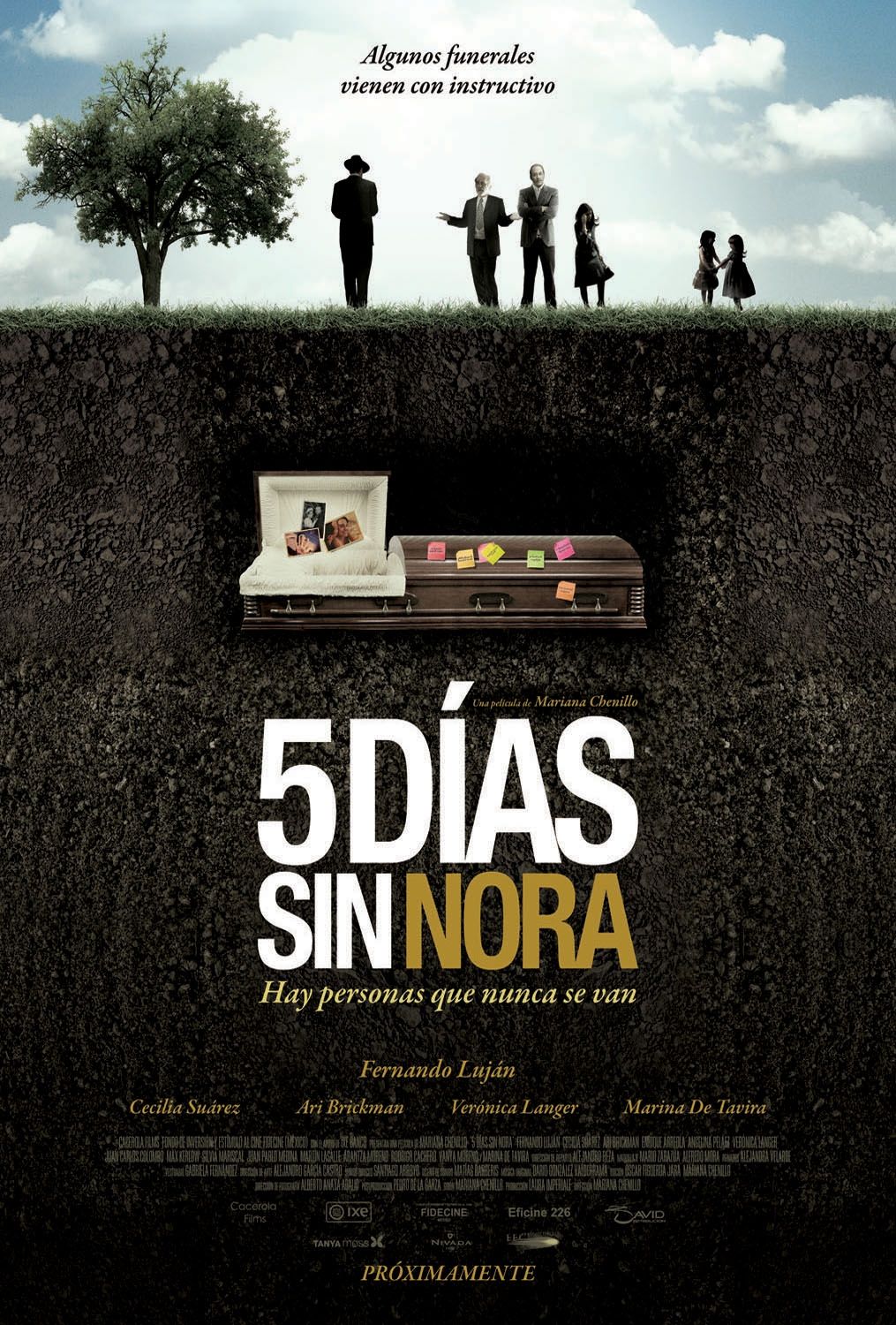 Extra Large Movie Poster Image for Cinco días sin Nora (#1 of 2)