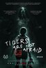Tigers Are Not Afraid (2017) Thumbnail