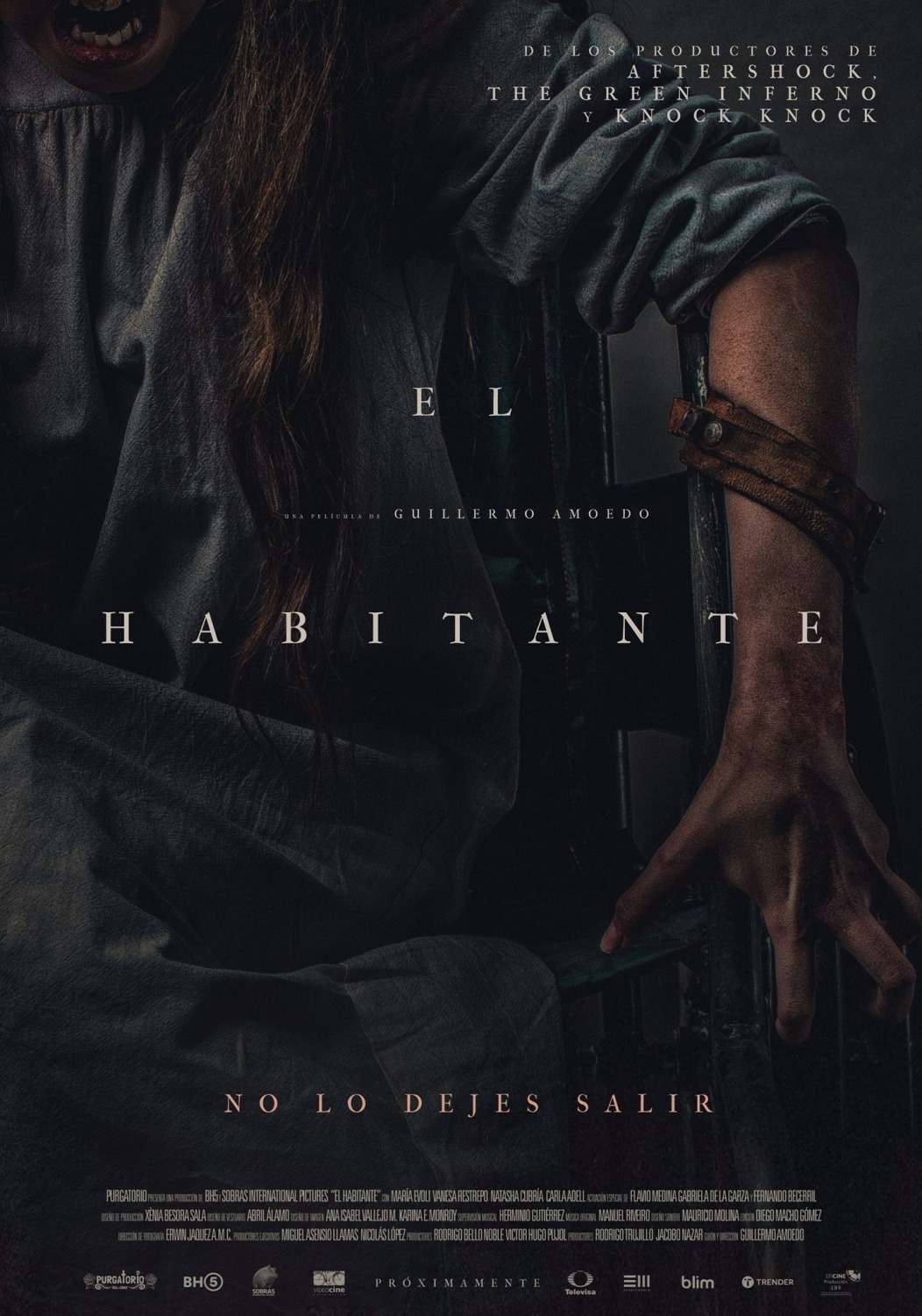 Extra Large Movie Poster Image for El habitante (#1 of 2)