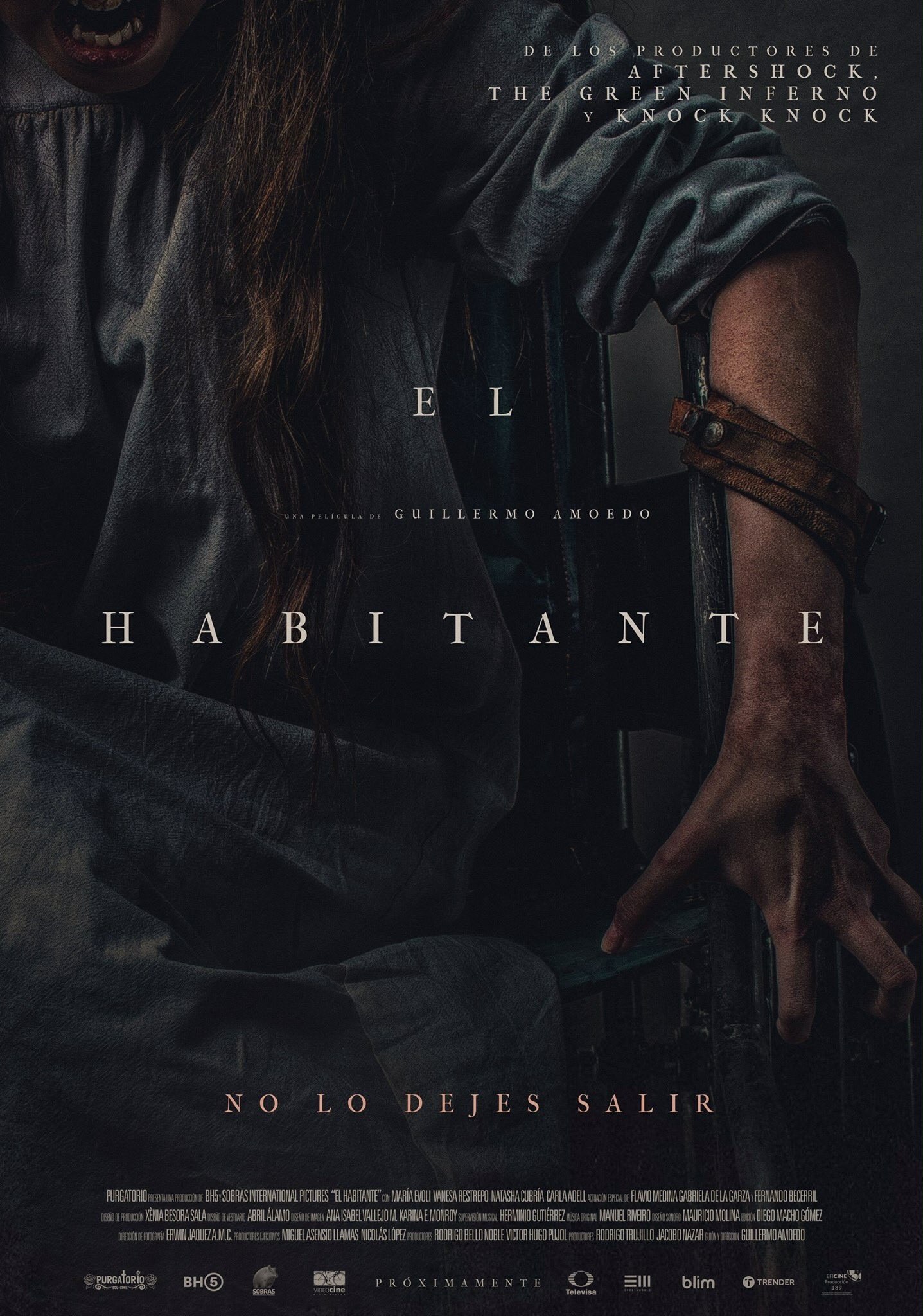 Mega Sized Movie Poster Image for El habitante (#1 of 2)