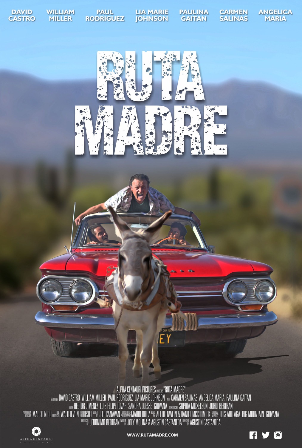 Extra Large Movie Poster Image for Ruta Madre 
