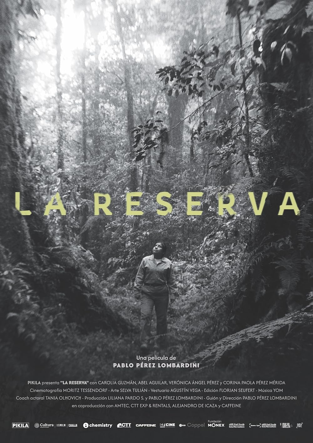 Extra Large Movie Poster Image for La reserva 