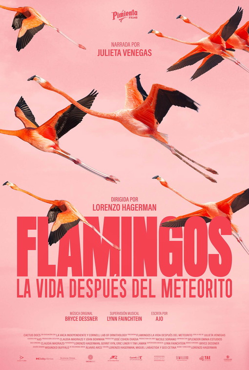 FLAMINGOS Life after the meteorite Movie Poster