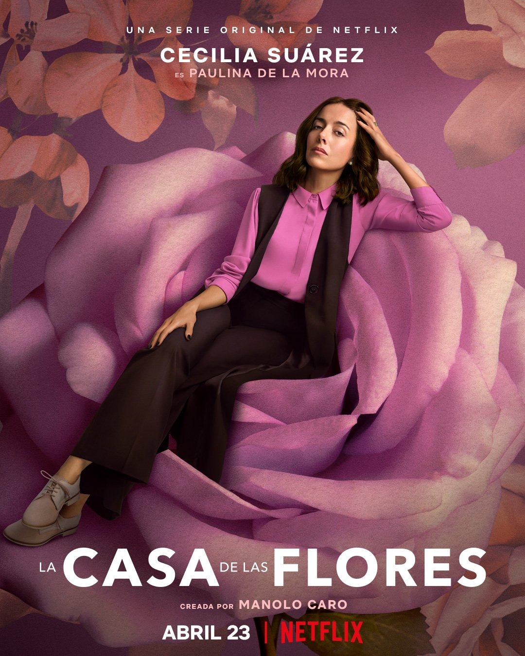 Extra Large TV Poster Image for La casa de las flores (#17 of 19)