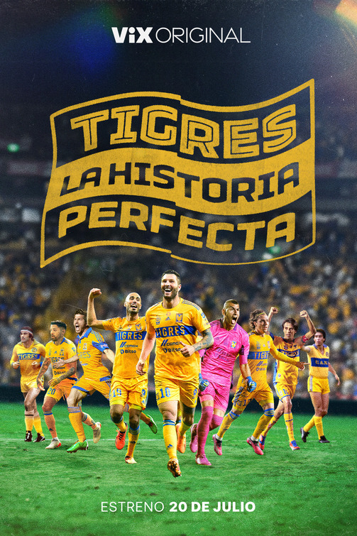 Tigres: La historia perfecta Movie Poster