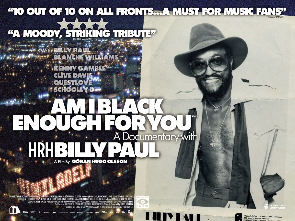 Extra Large Movie Poster Image for Am I Black Enough For You 