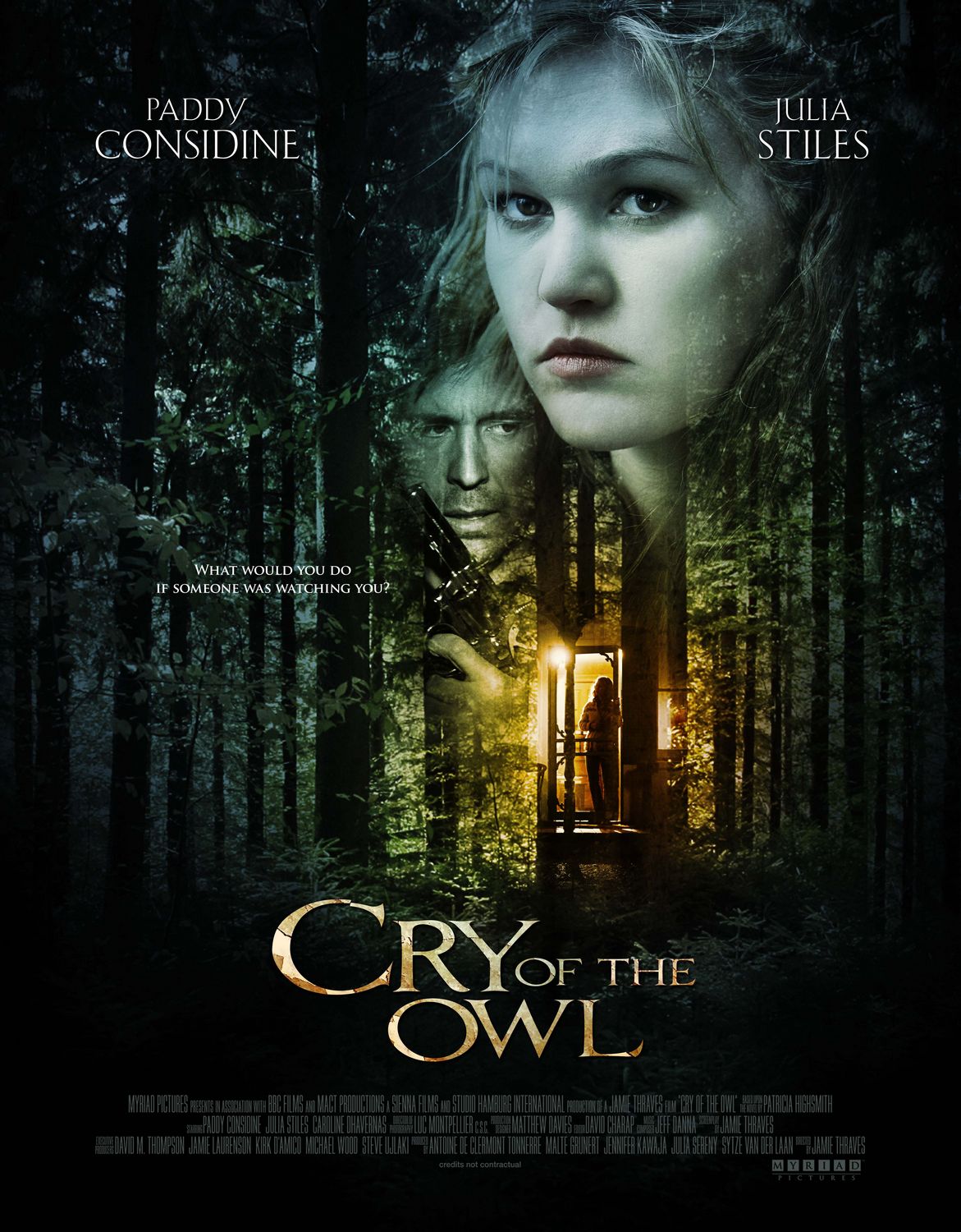 Extra Large Movie Poster Image for The Cry of the Owl 