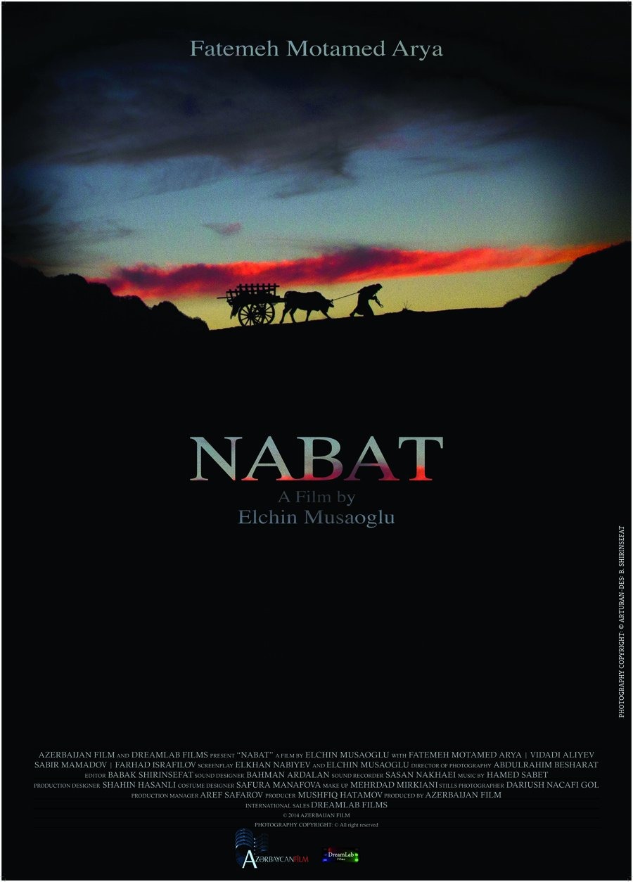 Extra Large Movie Poster Image for Nabat 