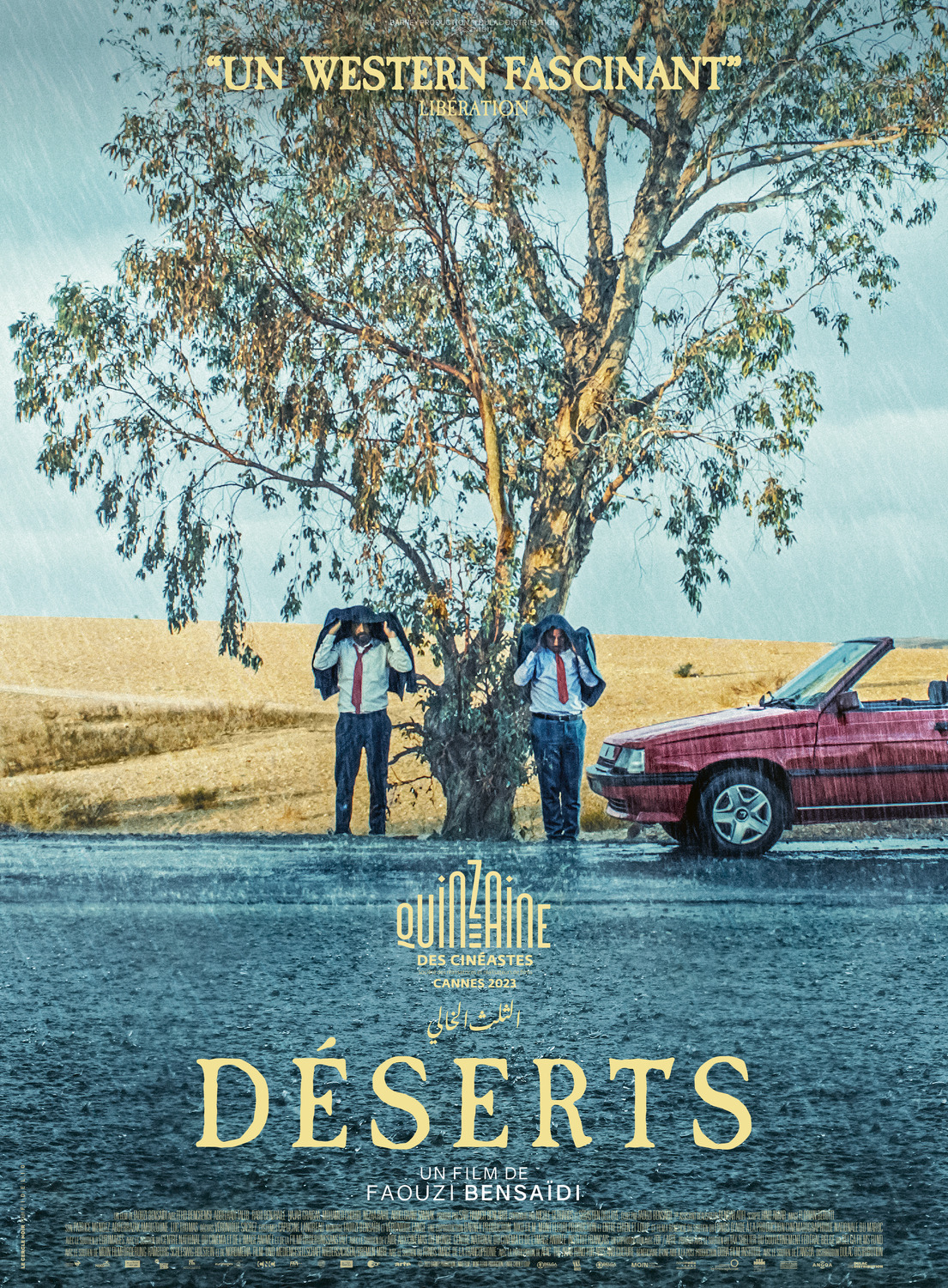 Extra Large Movie Poster Image for Déserts 