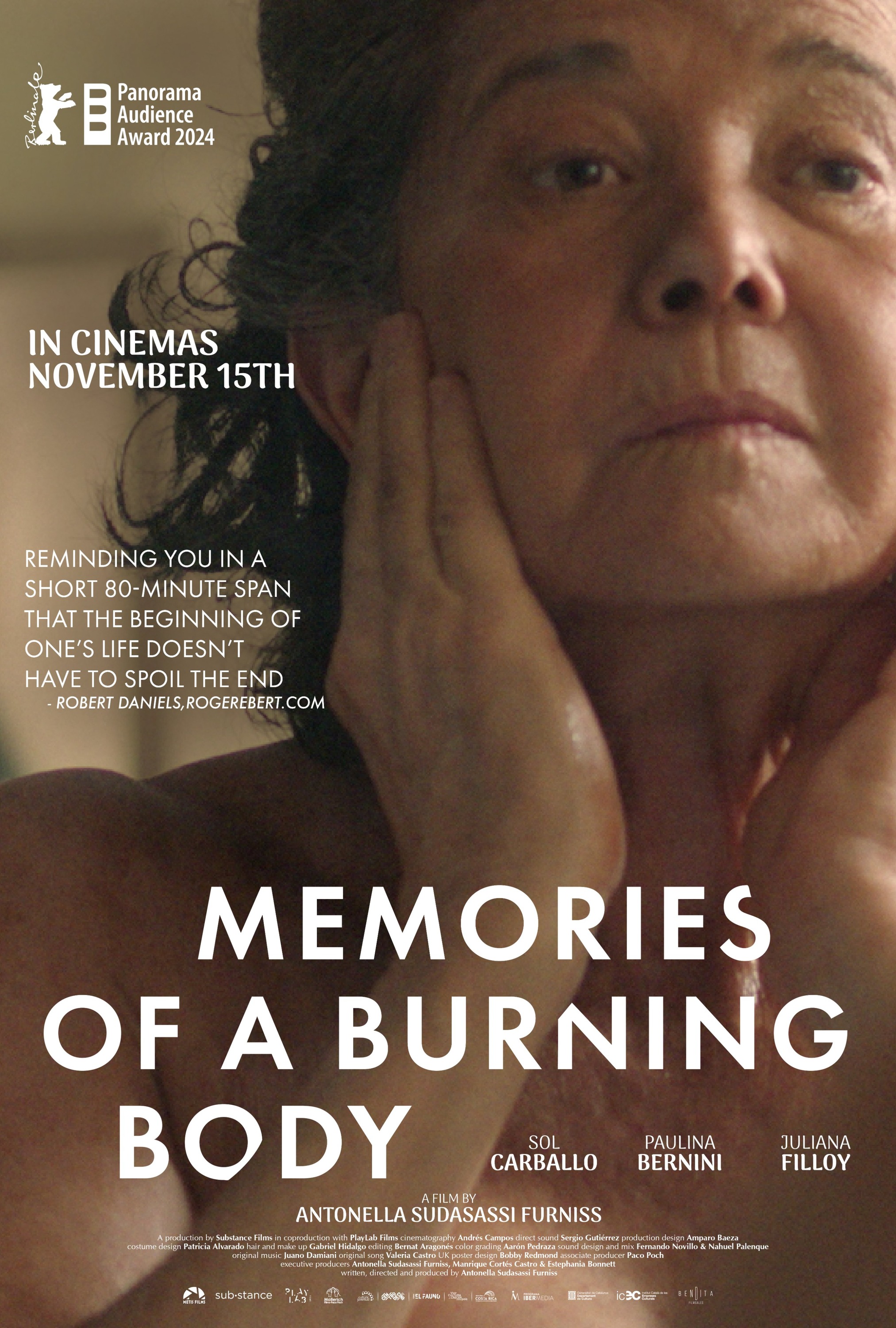 Mega Sized Movie Poster Image for Memories of a Burning Body (#2 of 2)