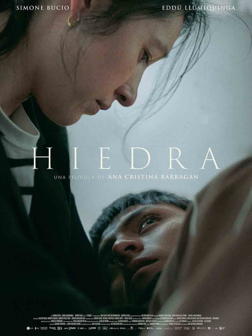 Extra Large Movie Poster Image for Hiedra 
