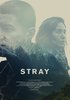 Stray (2018) Thumbnail