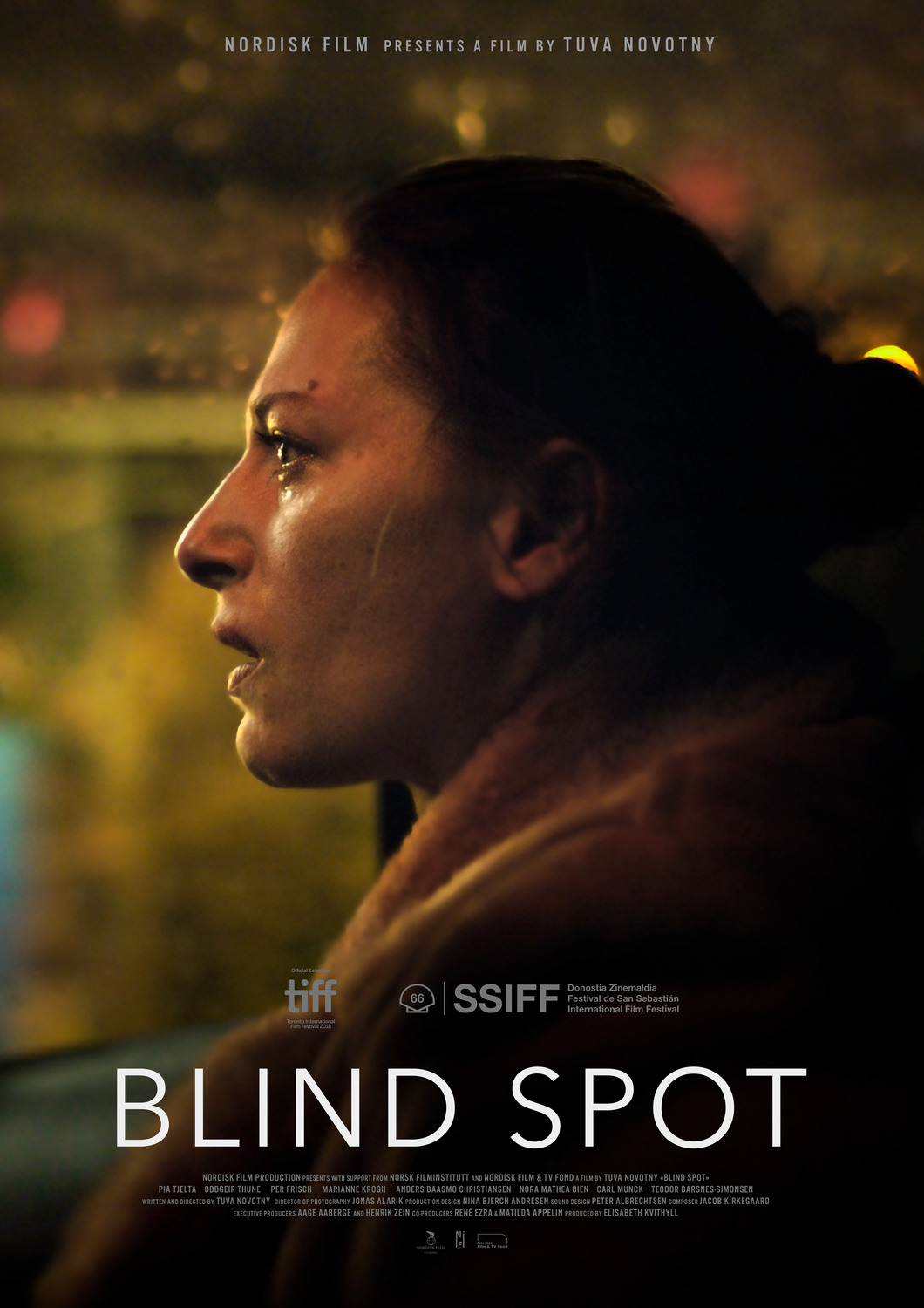 Extra Large Movie Poster Image for Blindsone 