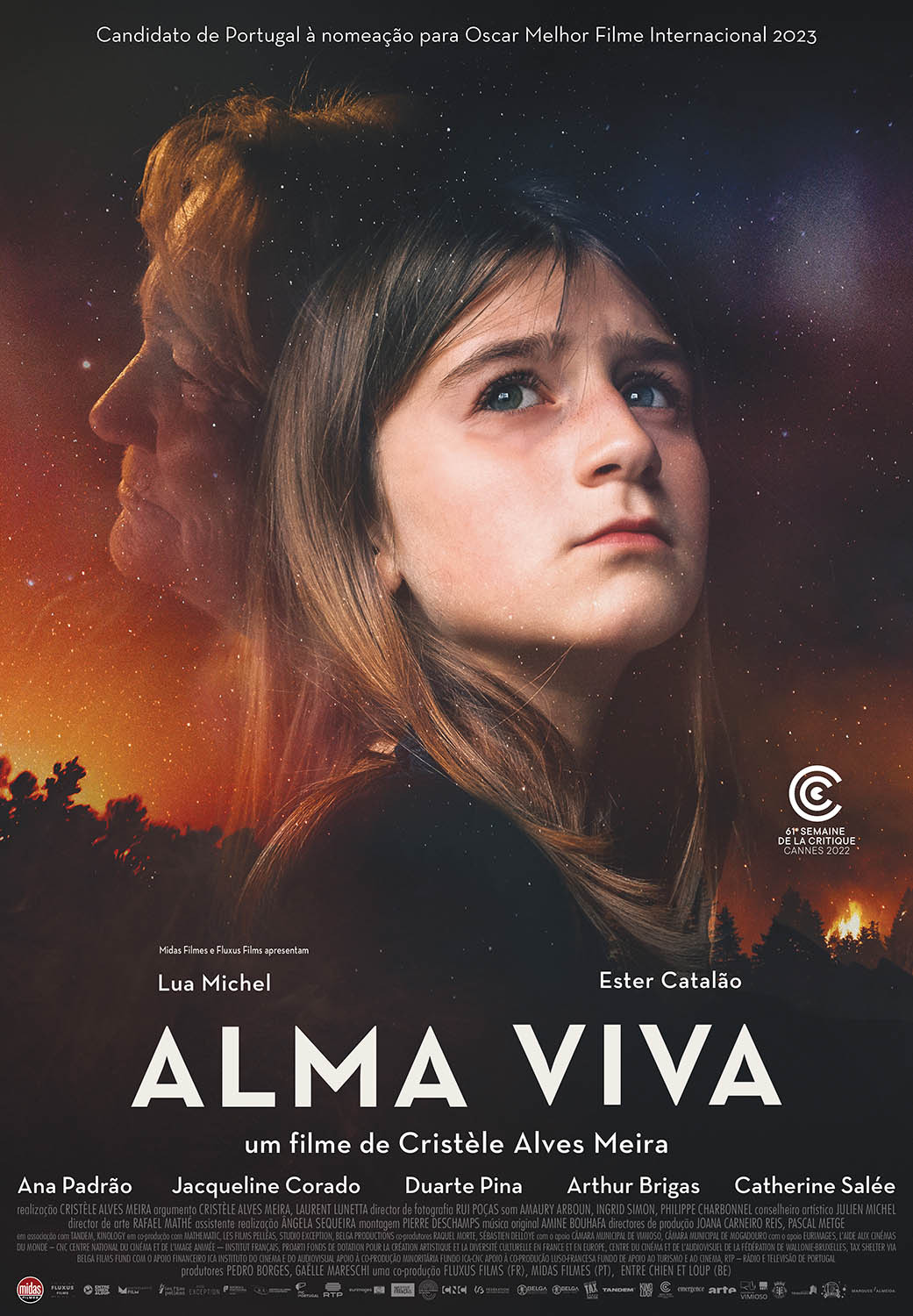 Extra Large Movie Poster Image for Alma Viva (#1 of 2)