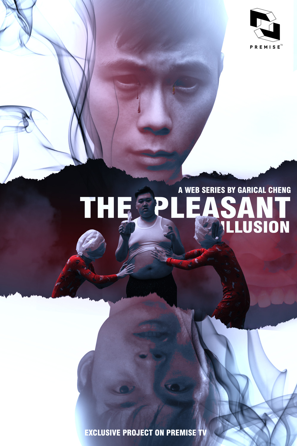 Extra Large TV Poster Image for The Pleasant Illusion (#3 of 3)