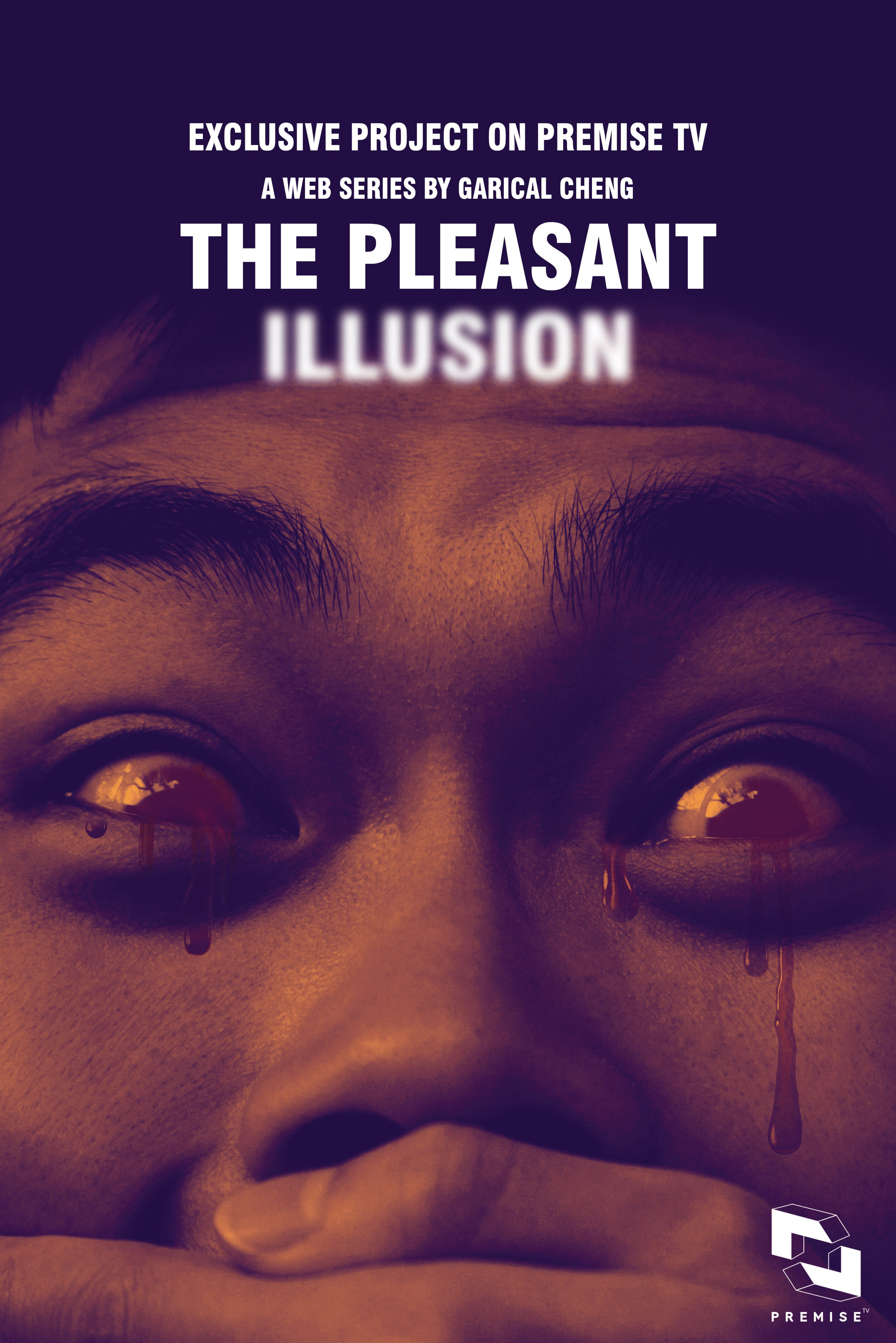 Mega Sized TV Poster Image for The Pleasant Illusion (#1 of 3)