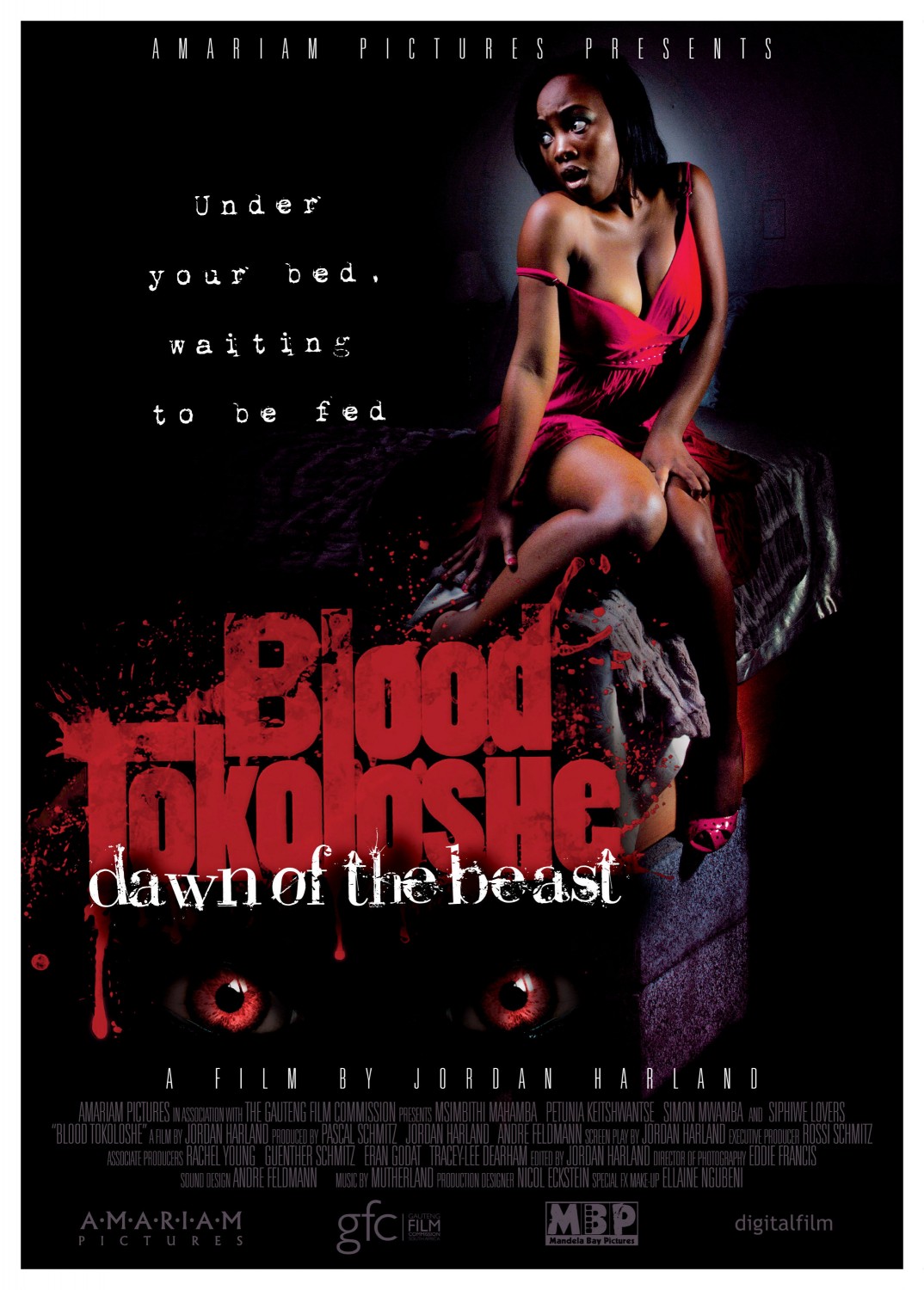 Extra Large Movie Poster Image for Blood Tokoloshe 