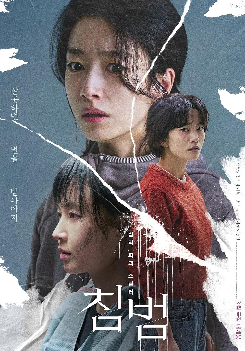 Extra Large Movie Poster Image for Somebody 