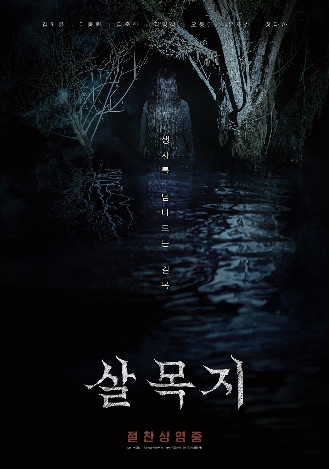 Extra Large Movie Poster Image for Salmokji (#1 of 3)