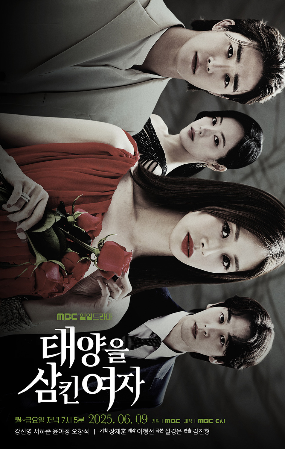 Extra Large TV Poster Image for The Woman Who Swallowed the Sun 