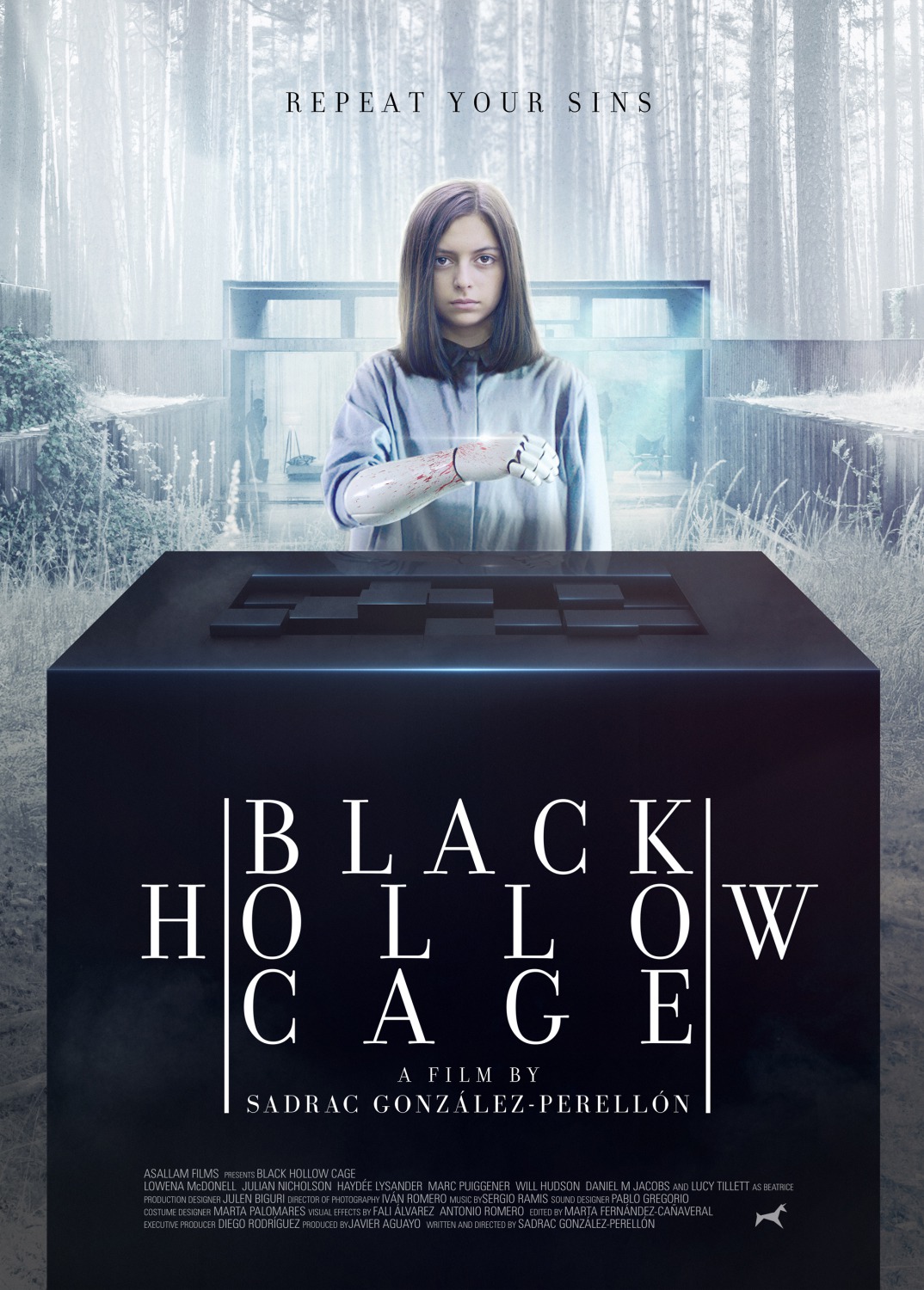 Extra Large Movie Poster Image for Black Hollow Cage 