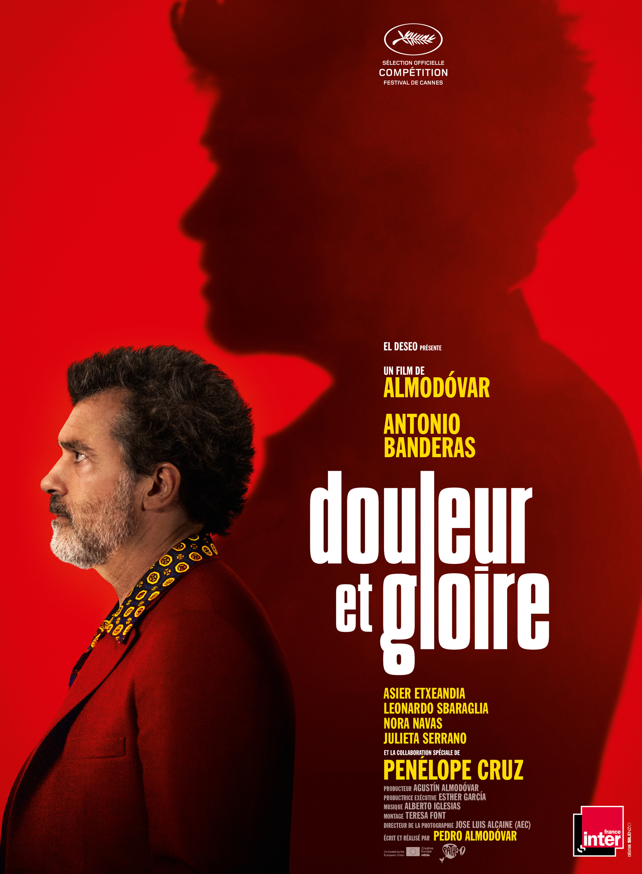 Mega Sized Movie Poster Image for Dolor y gloria (#2 of 3)
