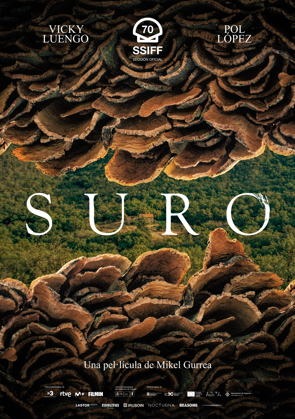 Extra Large Movie Poster Image for Suro (#1 of 3)