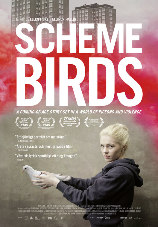 Scheme Birds Movie Poster