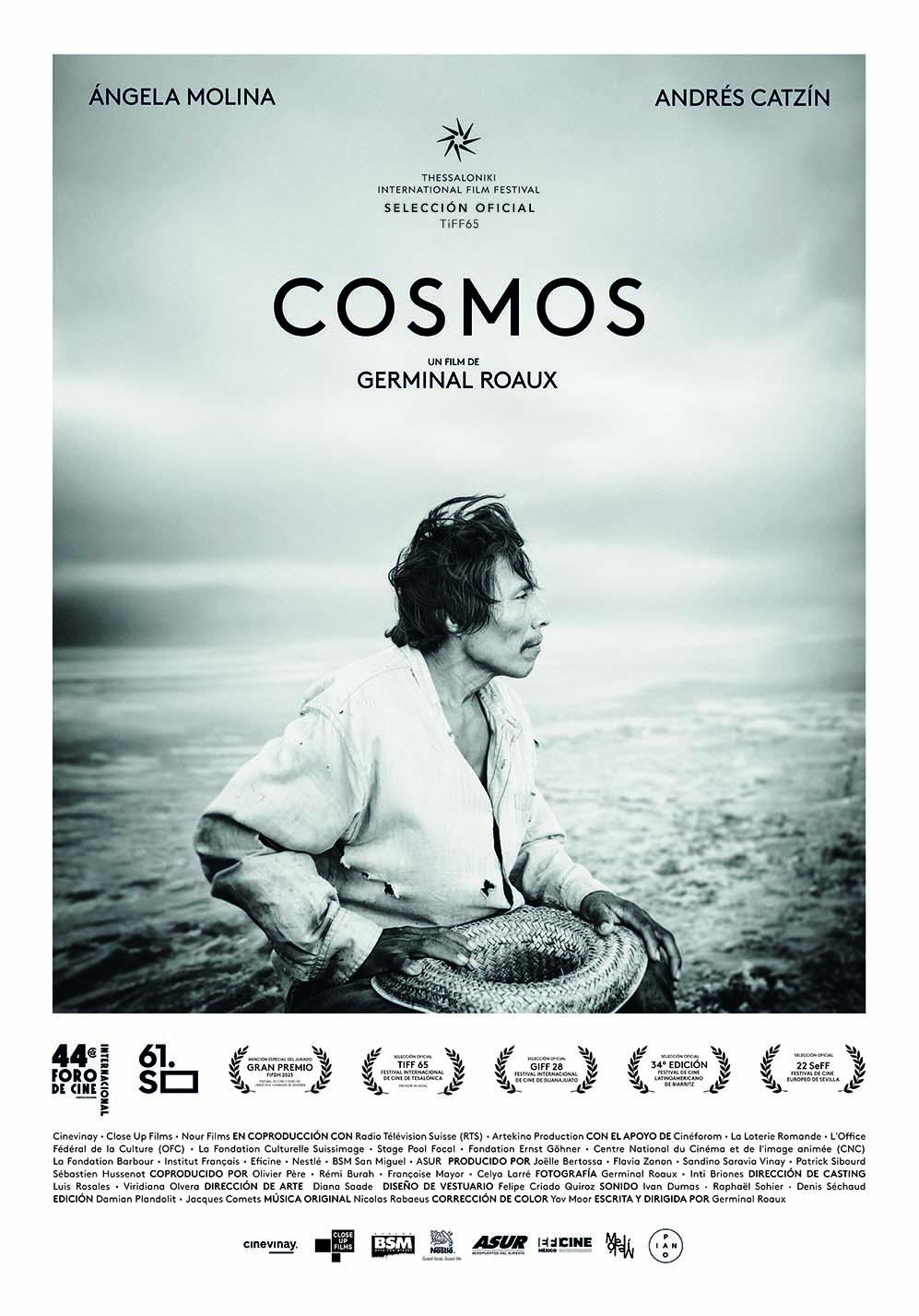 Extra Large Movie Poster Image for Cosmos (#2 of 3)