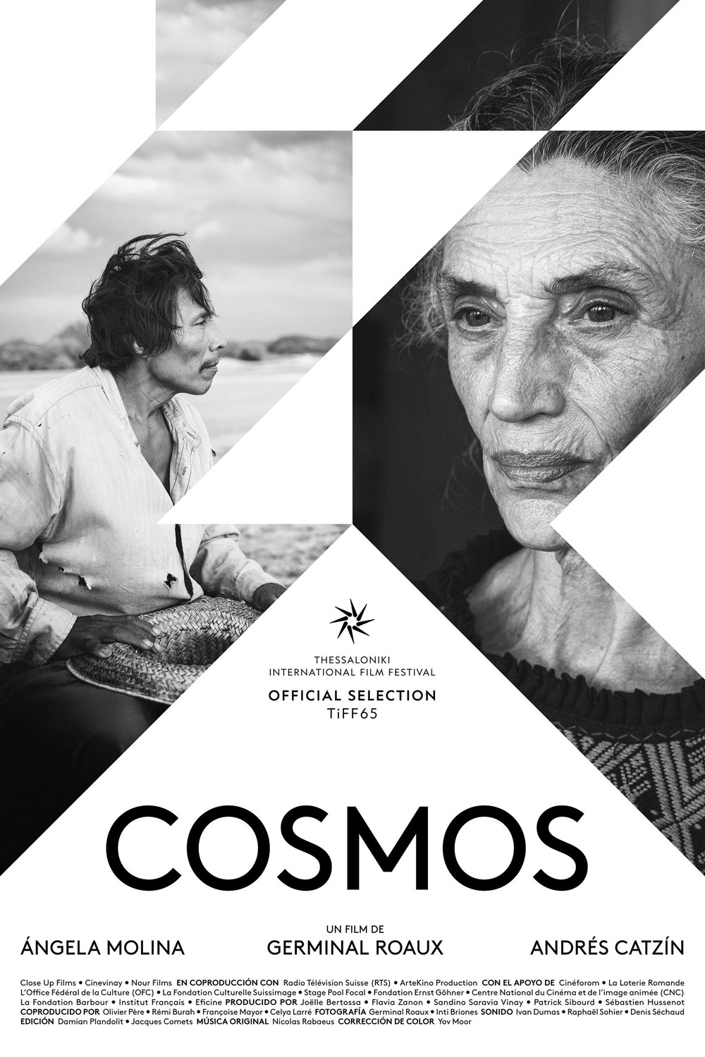 Extra Large Movie Poster Image for Cosmos (#1 of 3)
