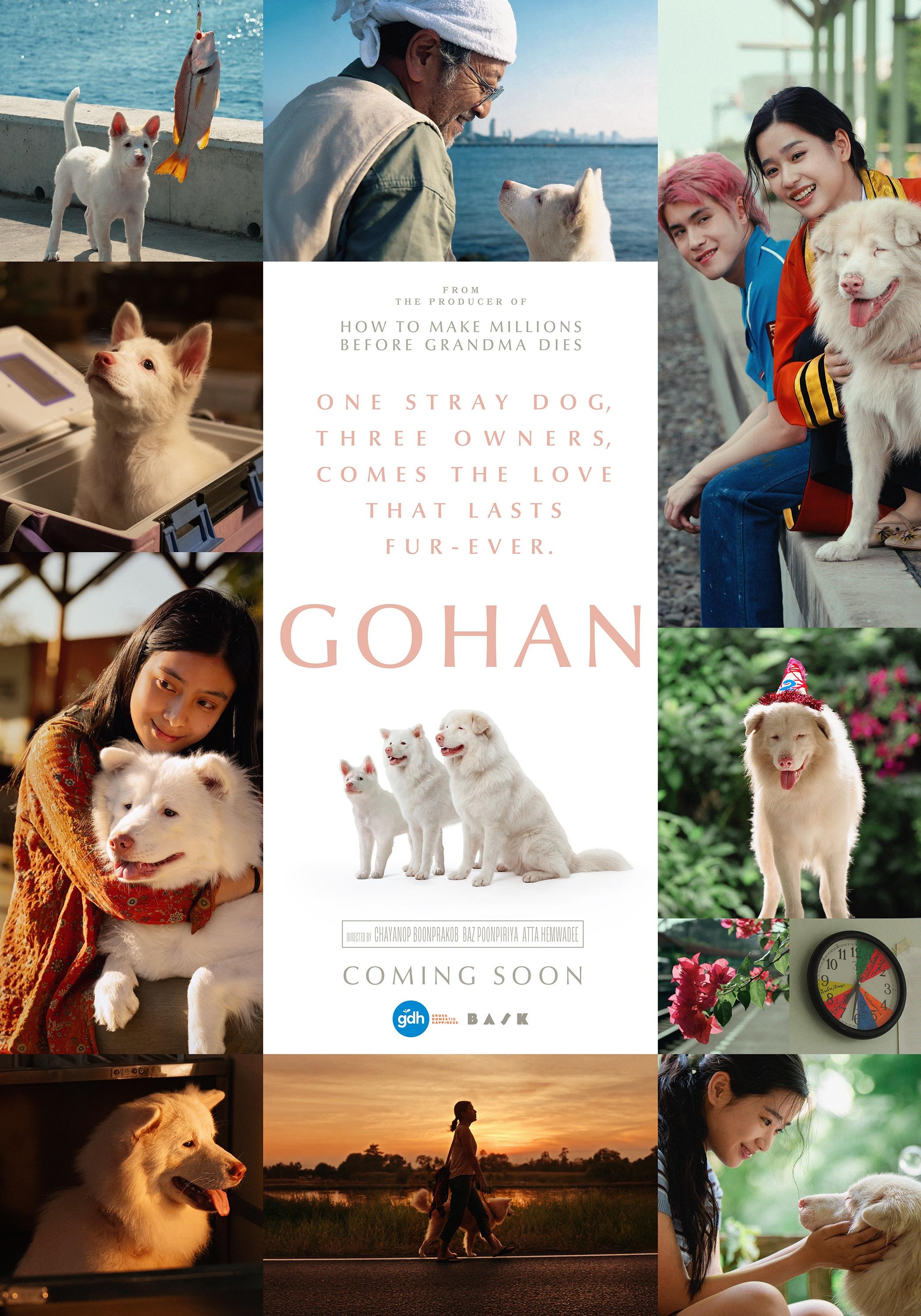 Mega Sized Movie Poster Image for Gohan (#4 of 6)