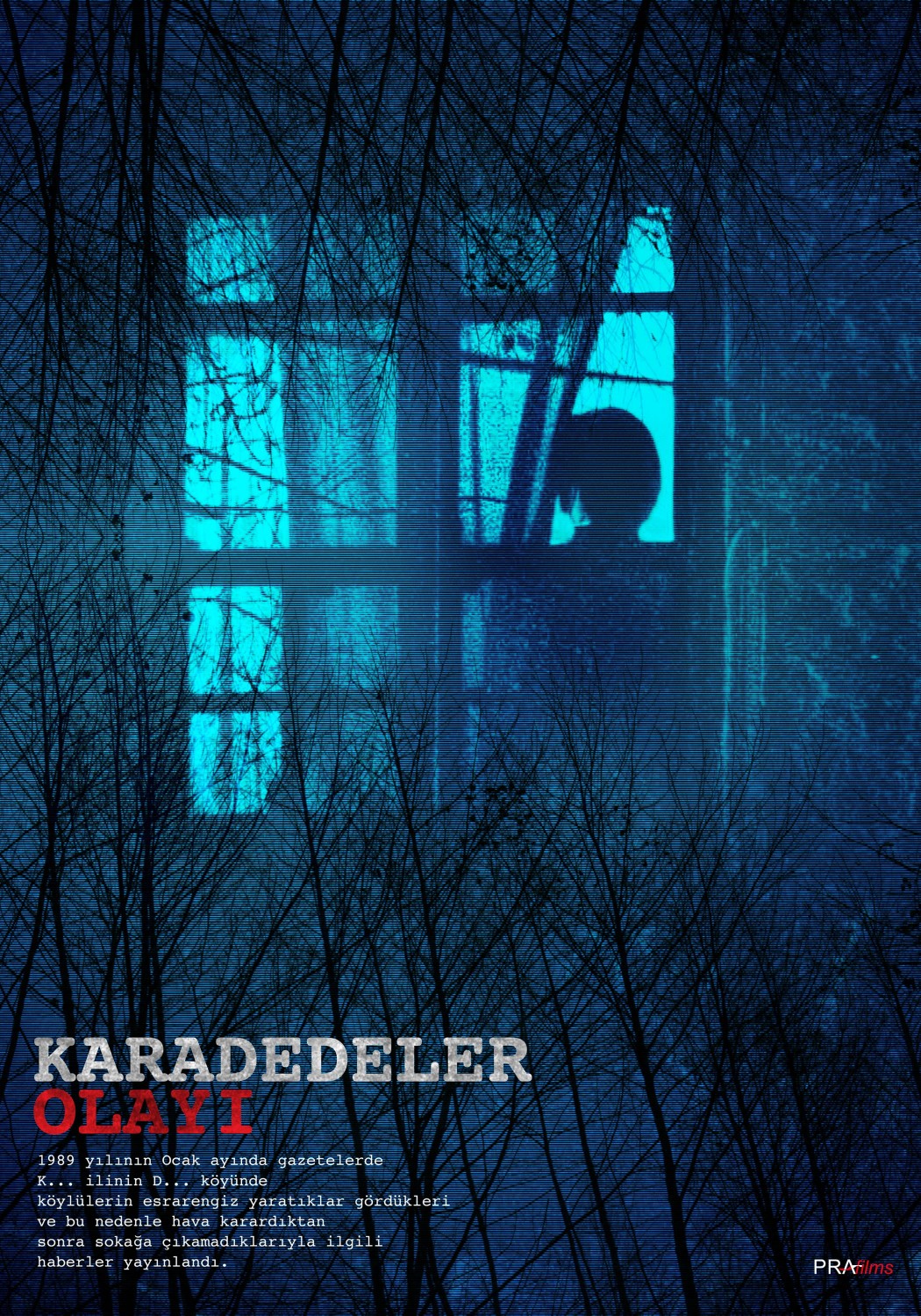 Extra Large Movie Poster Image for Karadedeler Olayi 