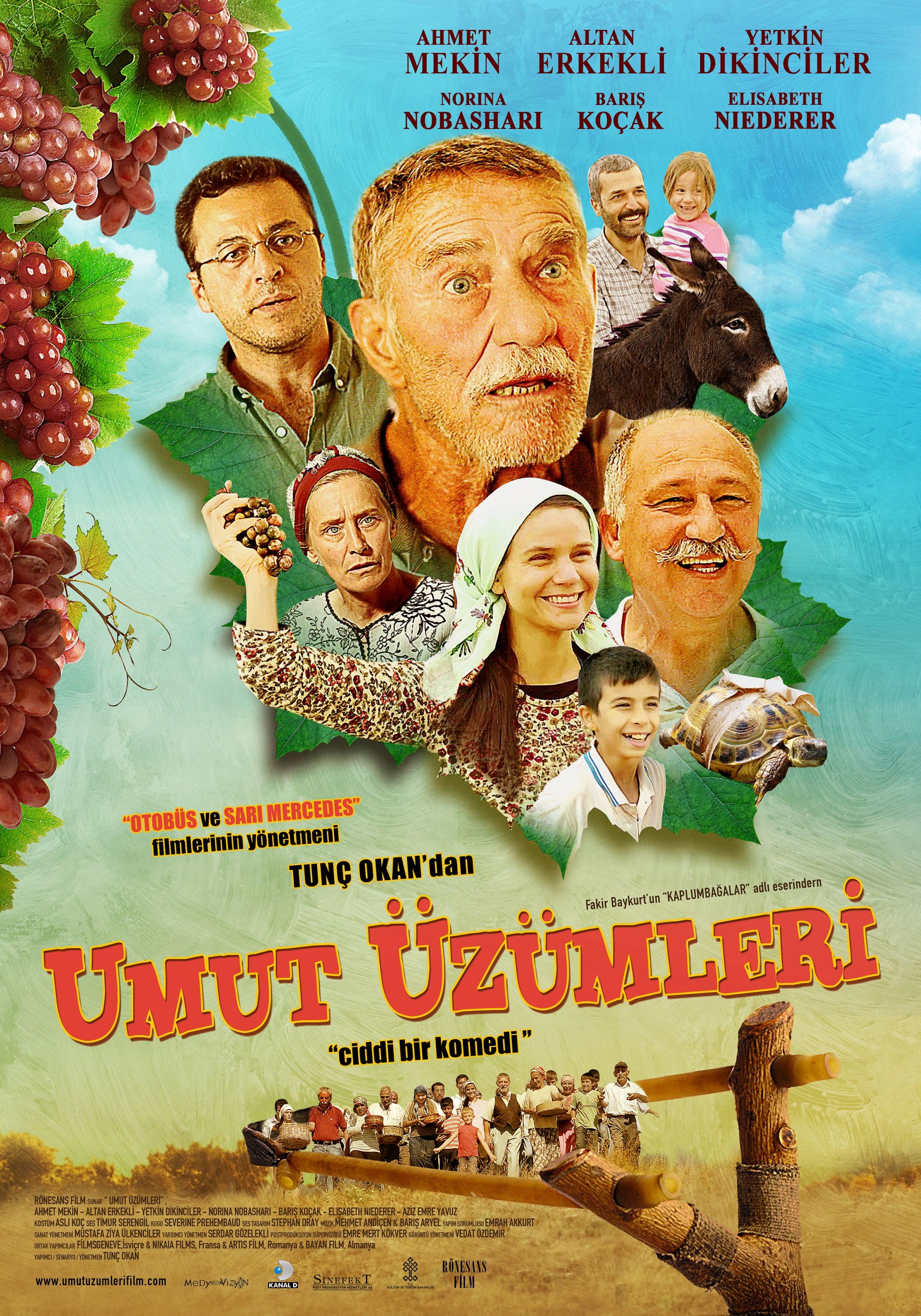 Mega Sized Movie Poster Image for Umut üzümleri 