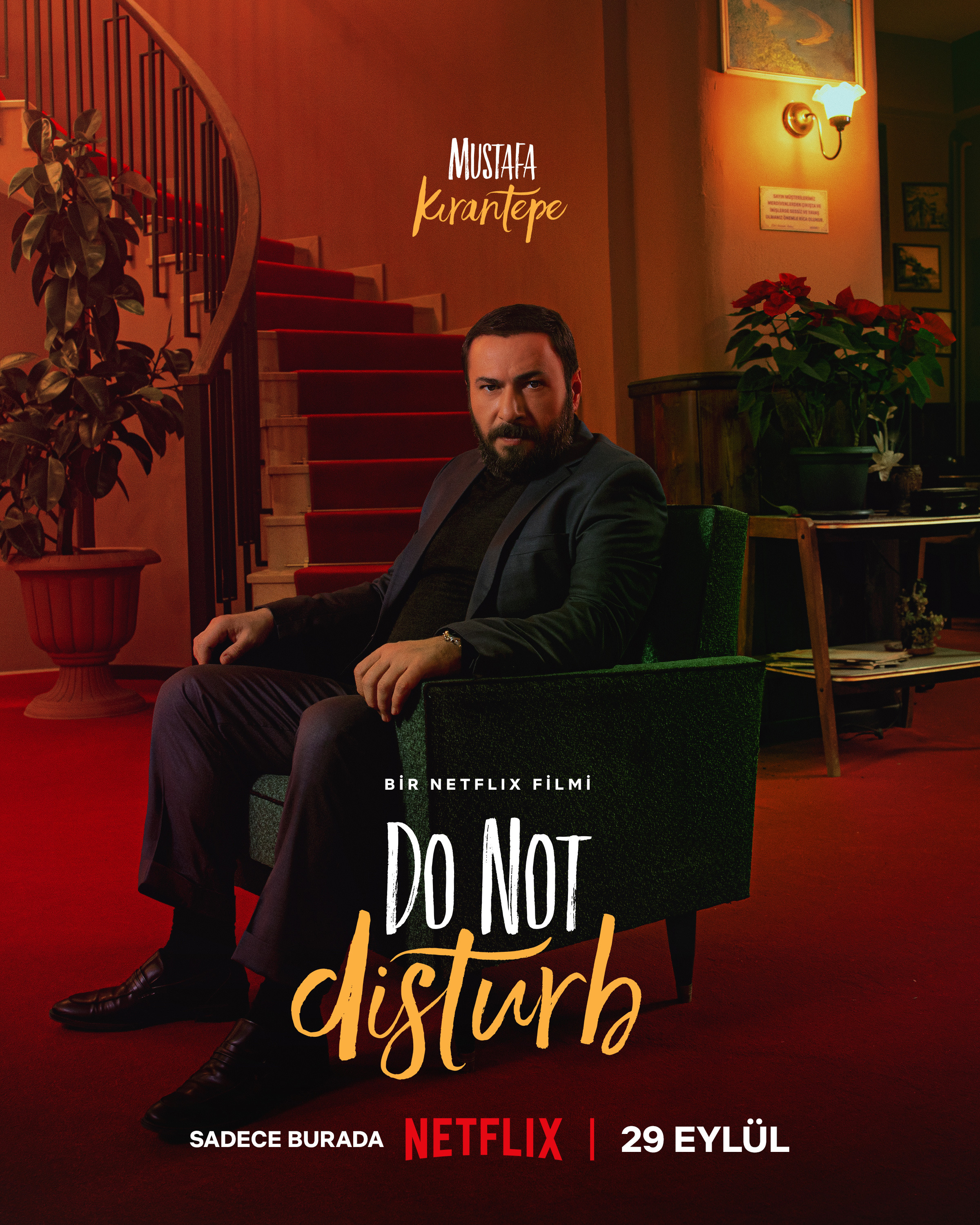 Mega Sized Movie Poster Image for Ayzek ile Bir Gece (#10 of 13)