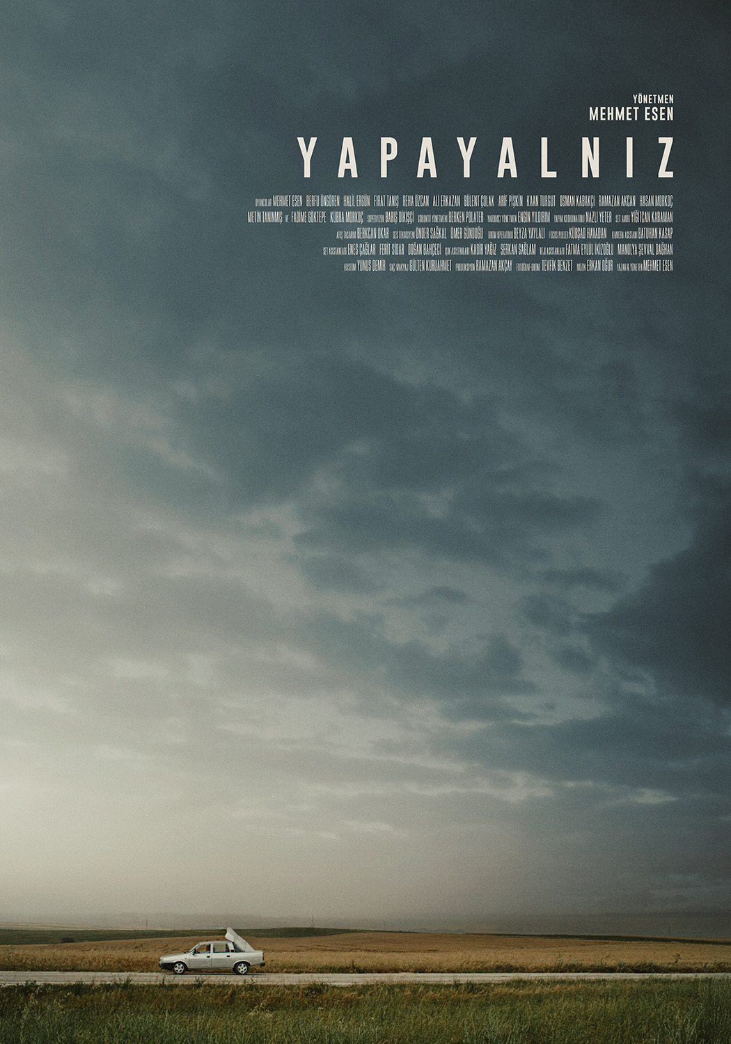 Extra Large Movie Poster Image for Yapayalniz 