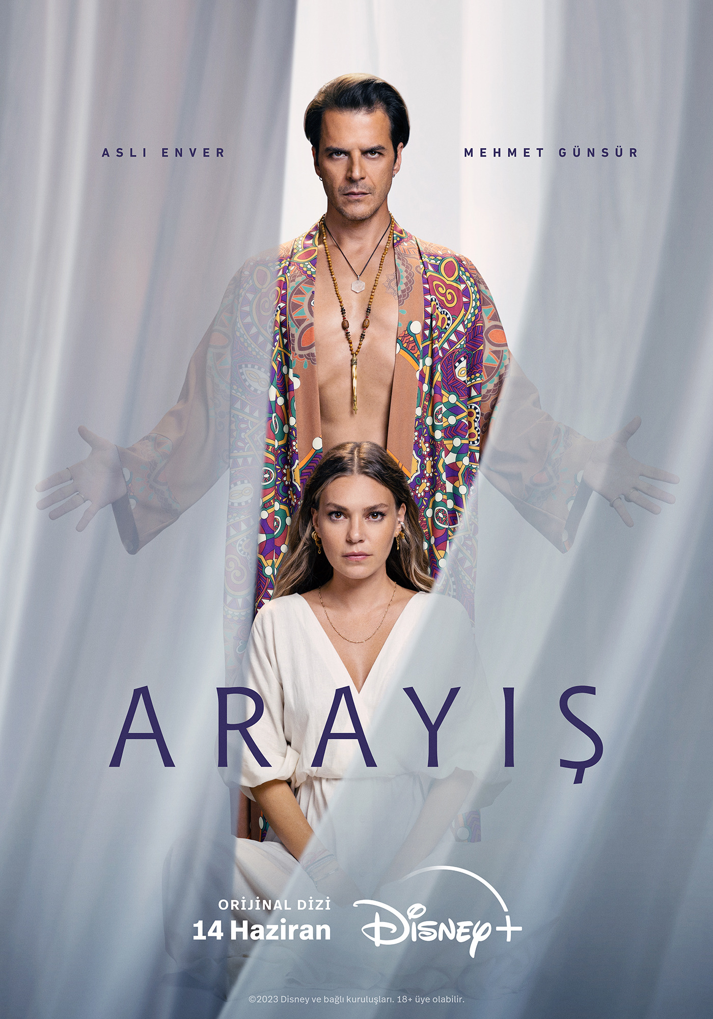 Mega Sized TV Poster Image for Arayis (#3 of 5)
