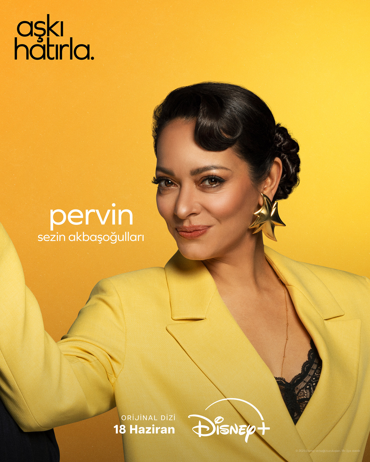 Extra Large TV Poster Image for Aski Hatirla (#12 of 12)