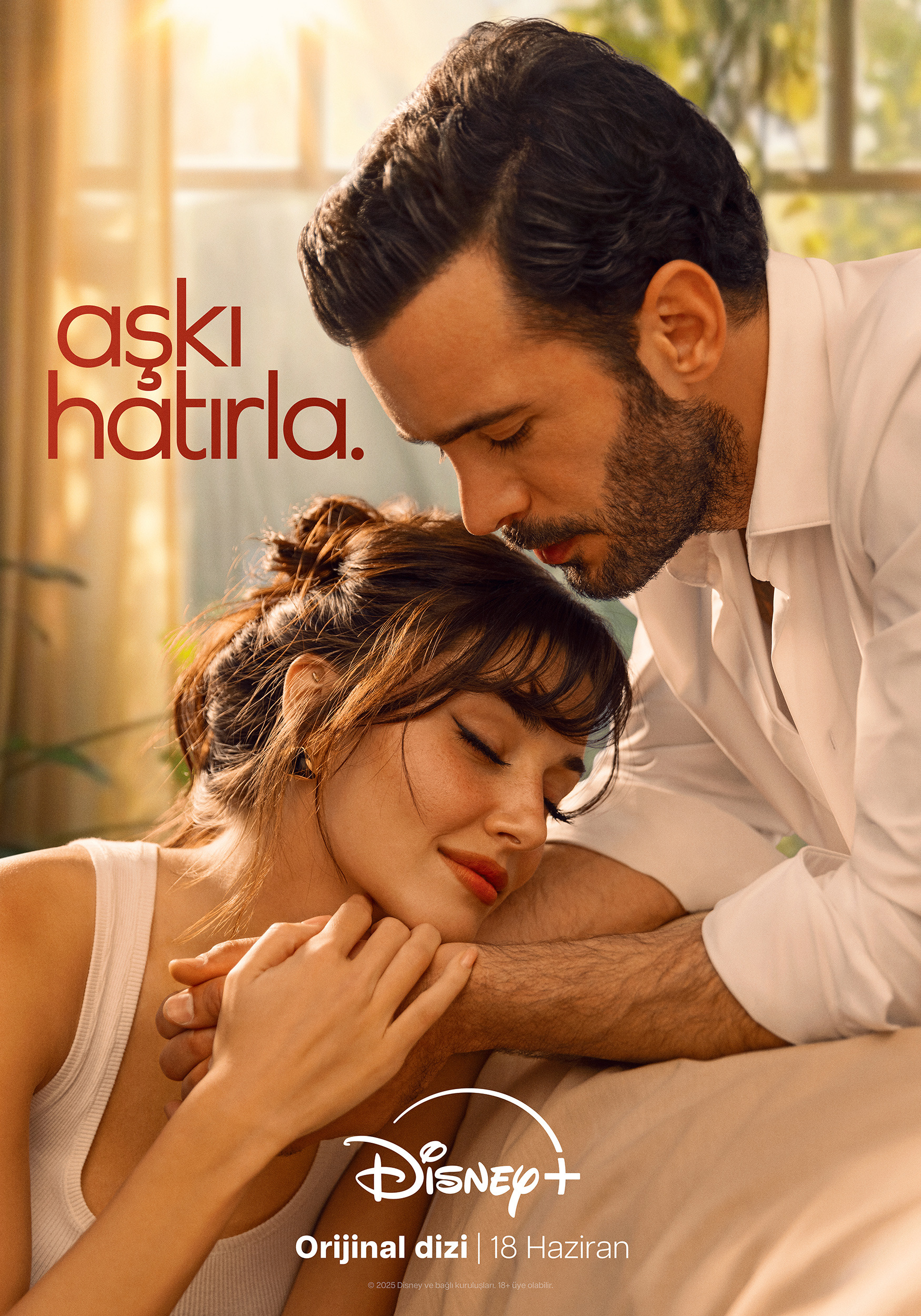 Mega Sized TV Poster Image for Aski Hatirla (#2 of 12)